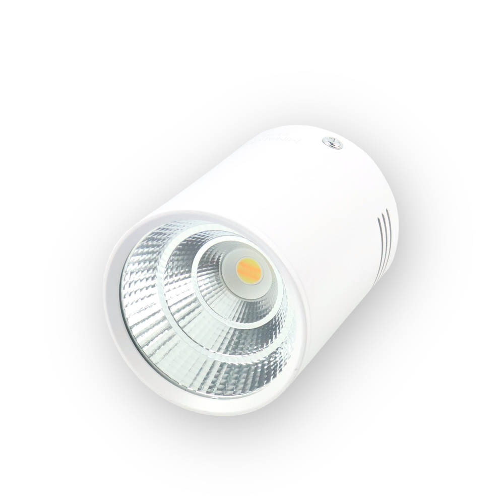 MINALOX SURFACE DOWNLIGHT D75 DUALWHITE 8W 24V 30� 2000-6000K WHITE