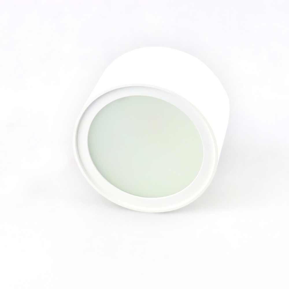 MINALOX SURFACE DOWNLIGHT 60 D100 DUALWHITE 12W 24V 1800K 4500K WHITE