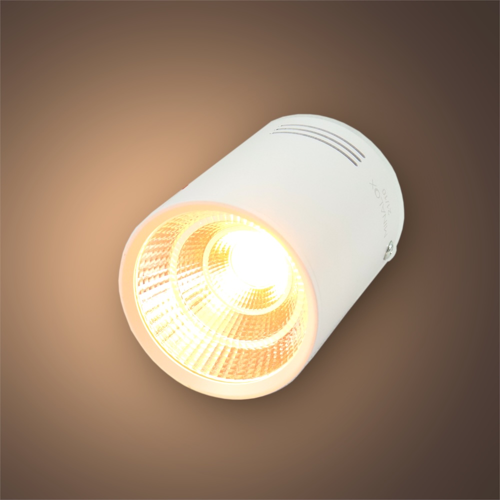 MINALOX SURFACE DOWNLIGHT D75 DUALWHITE 8W 24V 30 2000-6000K WHITE